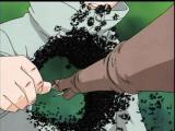 files_1563_thumbnail.jpg